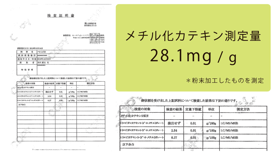 メチル化カテキン検査結果