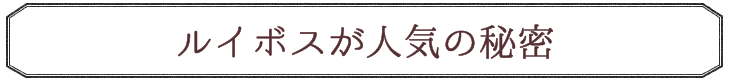 ルイボスティが人気の秘密
