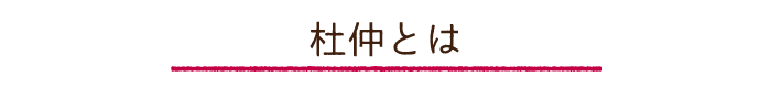 杜仲とは
