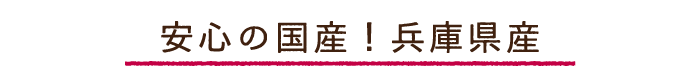安心の国産杜仲茶!