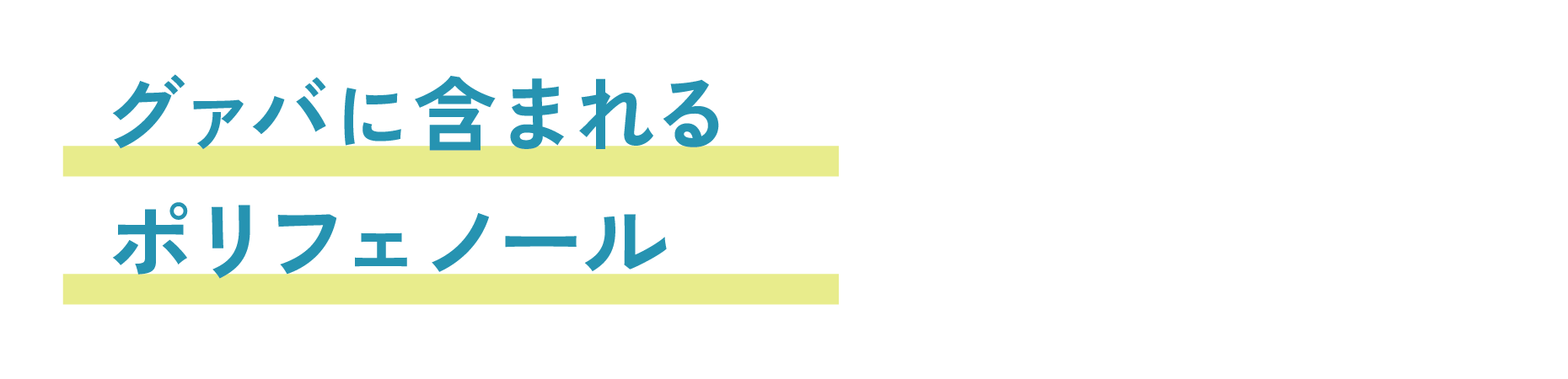 グァバ特有のグァバ葉ポリフェノール