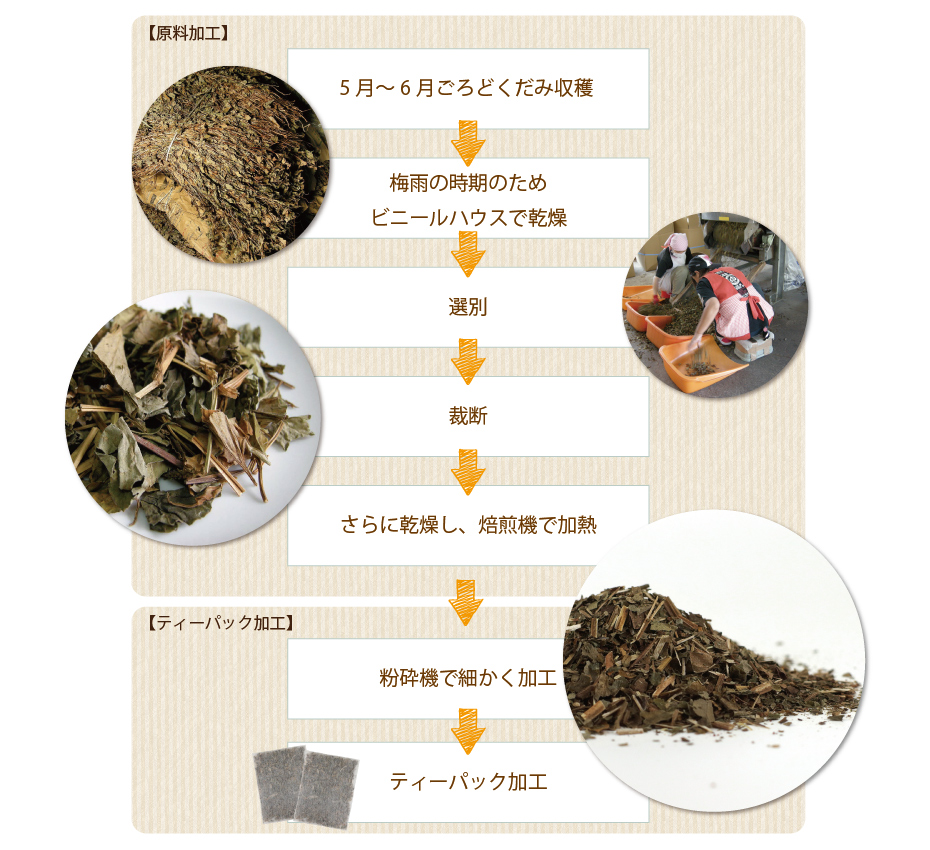 どくだみ茶製造工程