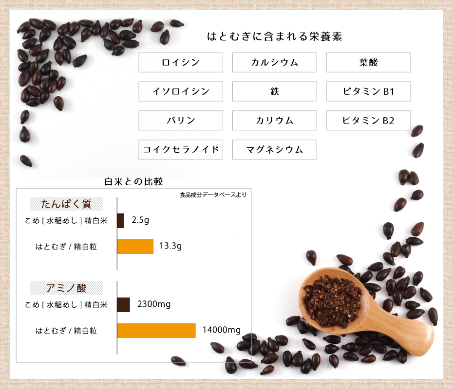 はとむぎに含まれる栄養素