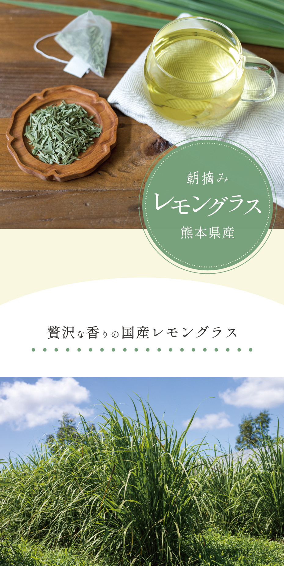 国産 レモングラスティー