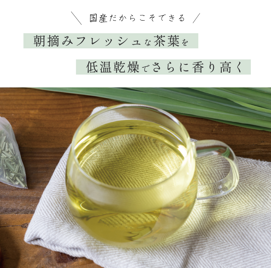 国産 レモングラスティー