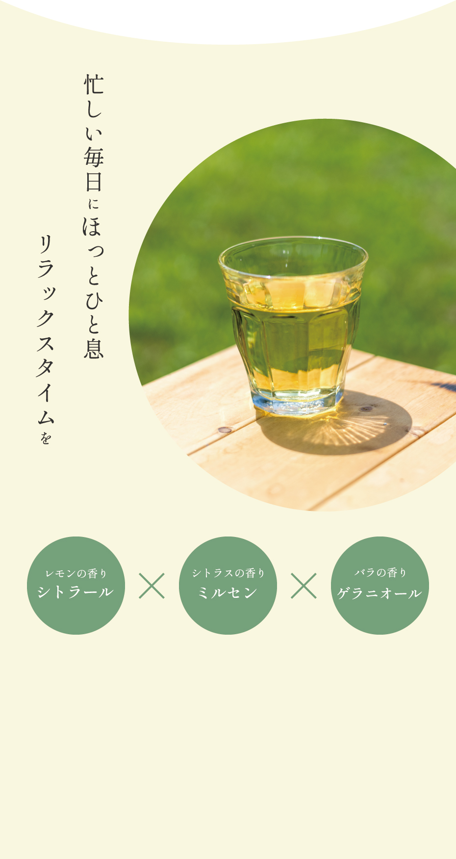 レモングラス畑