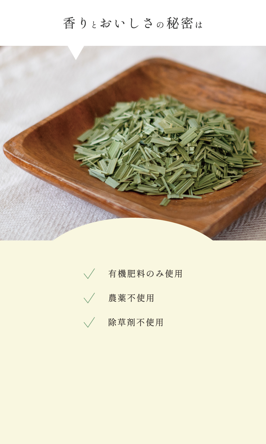 レモングラス畑