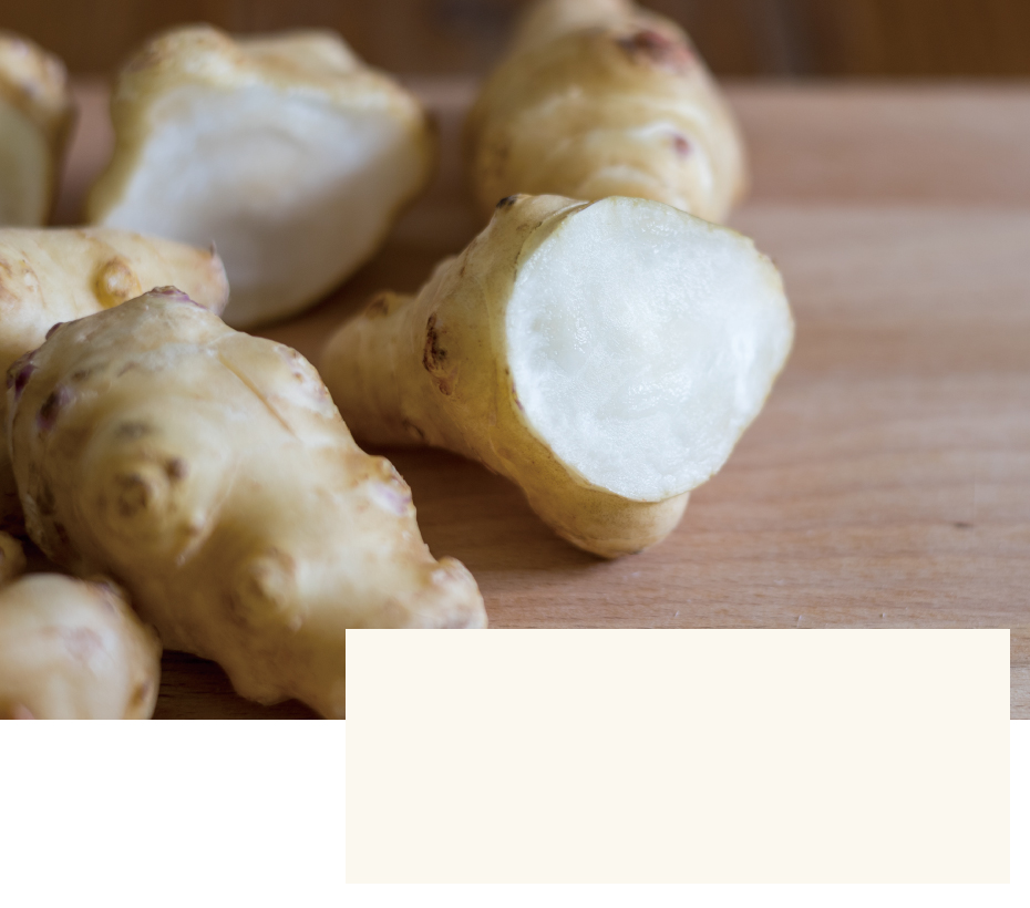 旬の時期にお召し上がりいただくのが一番良いのですが、菊芋は水分が多く、長期保存が難しい食材です。そのため、収穫後のフレッシュな菊芋を、皮も丸ごとすぐに加工したものを、パウダーにしています。