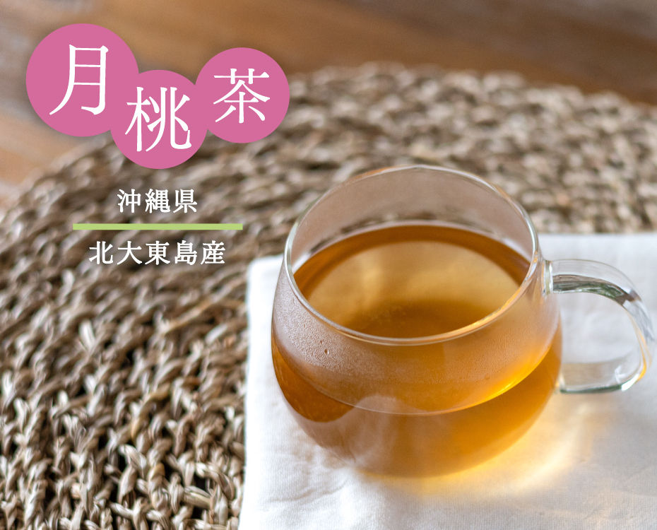 月桃茶 沖縄県産 国産 ティーパック ティーバッグ
